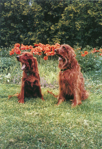 Miss Deirdre and Miss Fonta